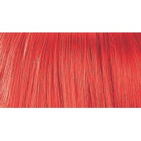 Stargazer Wig Japan (Stargazer Wig Japan)